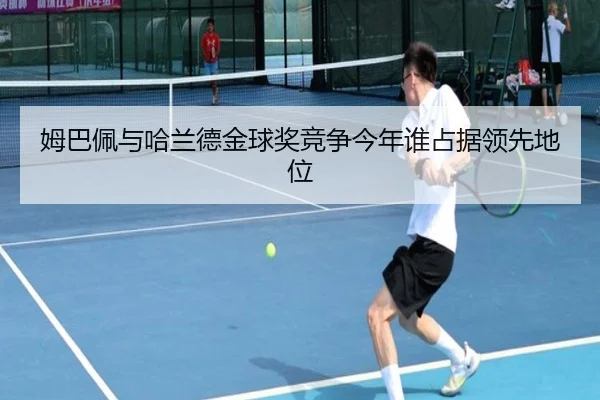 img_1783241498557_463_2_852.jpg